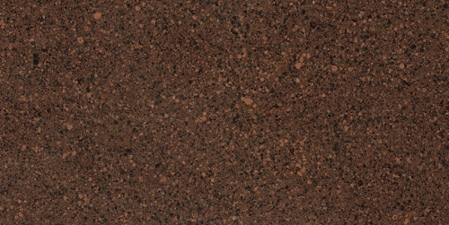 WSA011ʿ