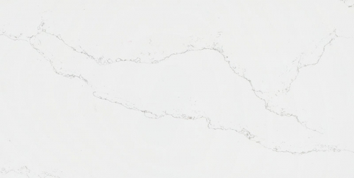WSG301